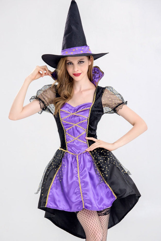 Velvet Witch Dress Halloween Costume