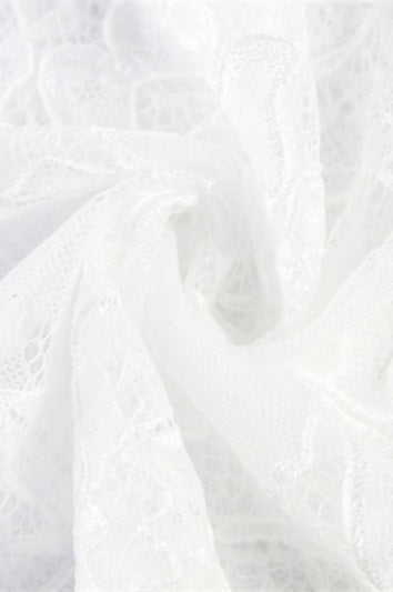 Sheer Floral Lace Maxi Skirt