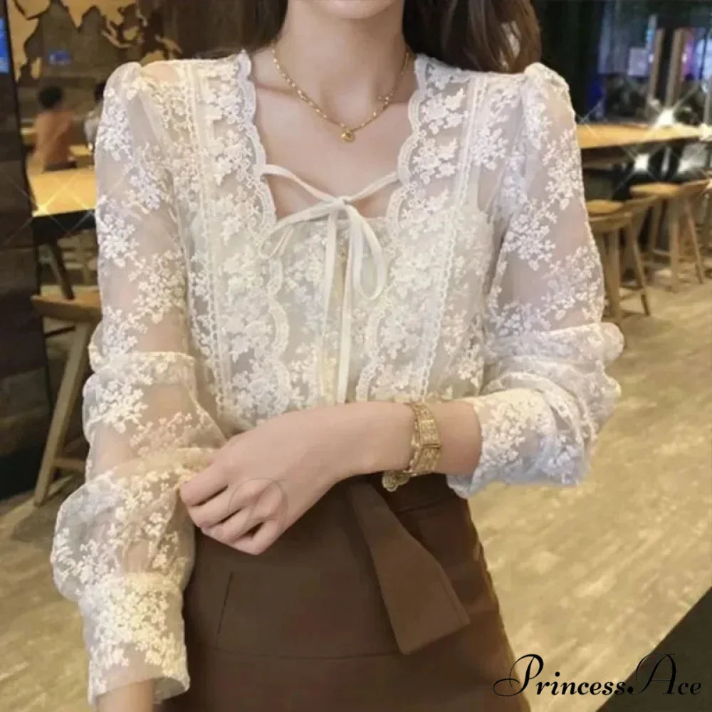 Antique Lace Puff Extended Sleeve Crochet Blouse