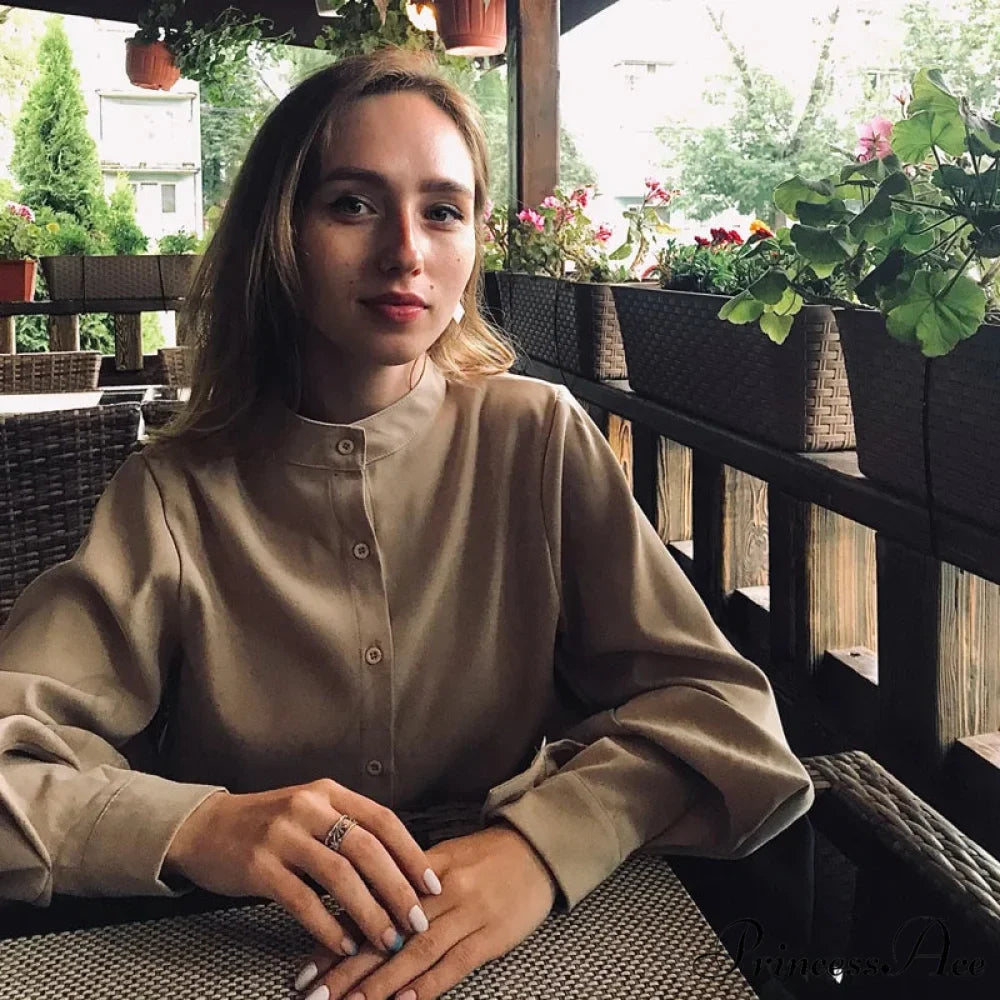 Antique Lantern Sleeve Baggy High Neck Blouse