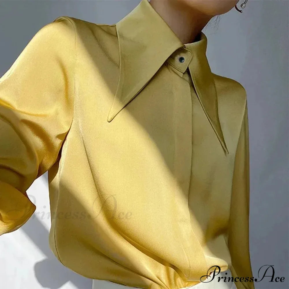 Antique Smooth Silk Fold Over Collar Shirt