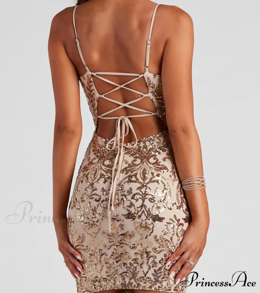 Brianna Sequin Stylish Mesh Bodycon Dress