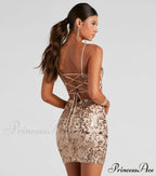 Brianna Sequin Stylish Mesh Bodycon Dress