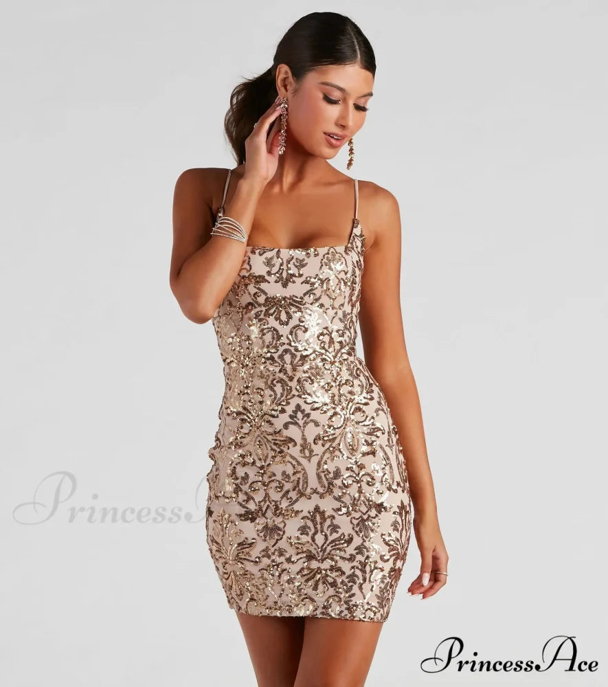 Brianna Sequin Stylish Mesh Bodycon Dress