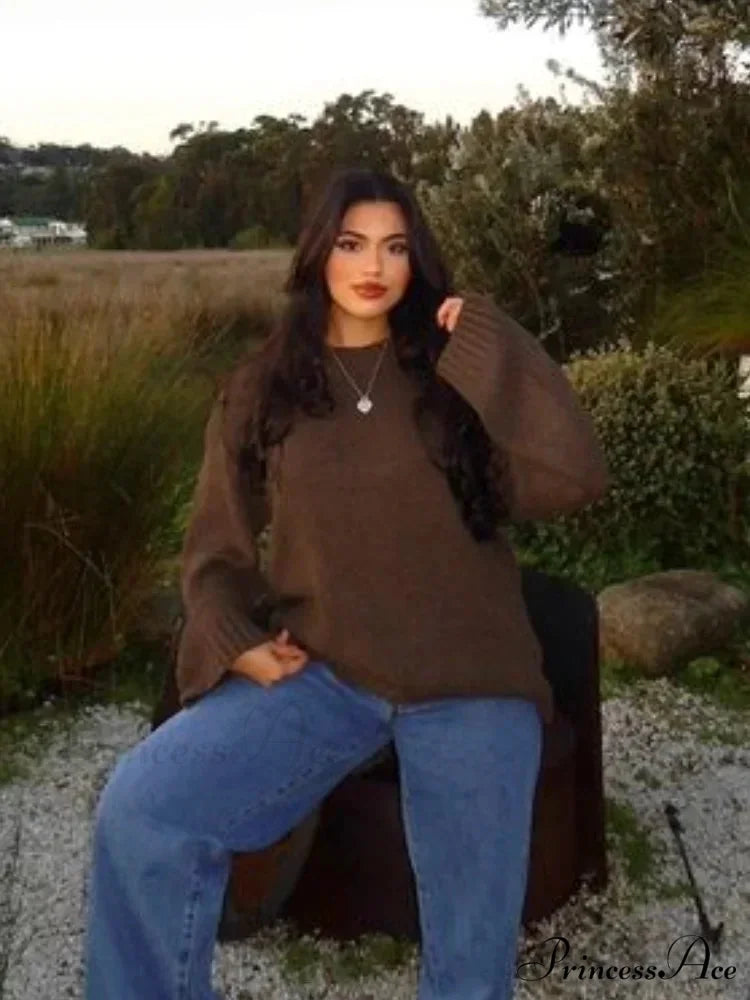 Brown Circular Neck Baggy Simple Jumper