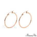Classic Style Stainless Steel Simple Hoop Earrings
