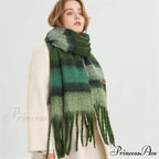 Color Blocked Stripe Cashmere Pashmina Scarf