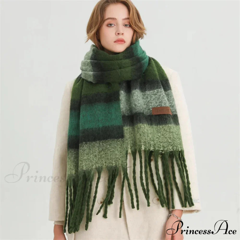 Color Blocked Stripe Cashmere Pashmina Scarf