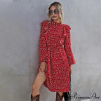 Elegant Full Sleeve High Waist Ladies Long Dress