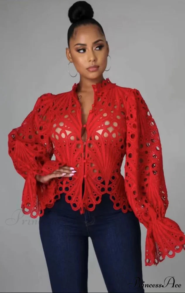 Elegant Lace See Though Ruffles Lantern Blouse