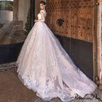 Extended Sleeve Lace Ball Gown Wedding Dress