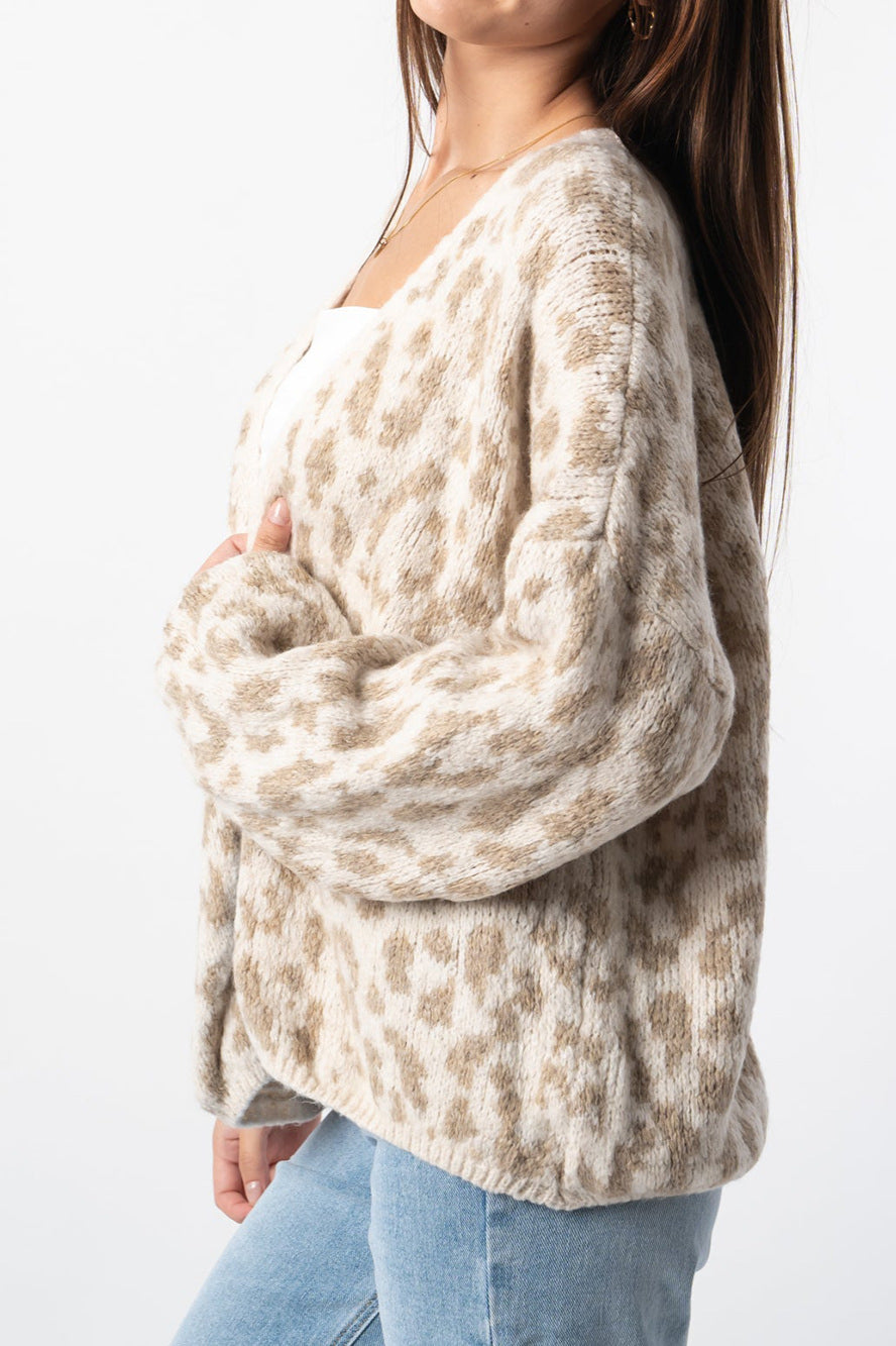 Loose Fit Colorblock Cardigan