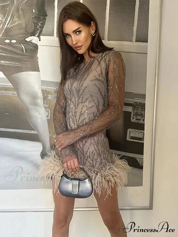 Feather Mesh Sheer Sleeve Party Dress