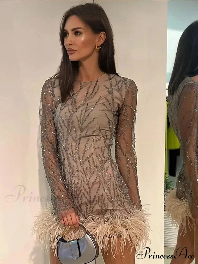 Feather Mesh Sheer Sleeve Party Dress