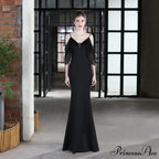 Grace Mesh Stylish Trim Sleeve Dress