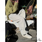 Grey Brushed Winter Korean Stylish Trousers