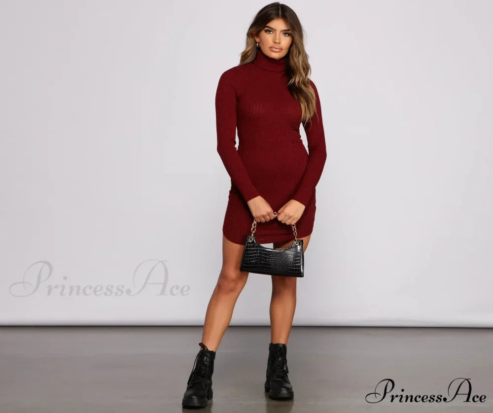 Knit Girl Stylish Turtleneck Mini Dress