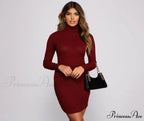 Knit Girl Stylish Turtleneck Mini Dress
