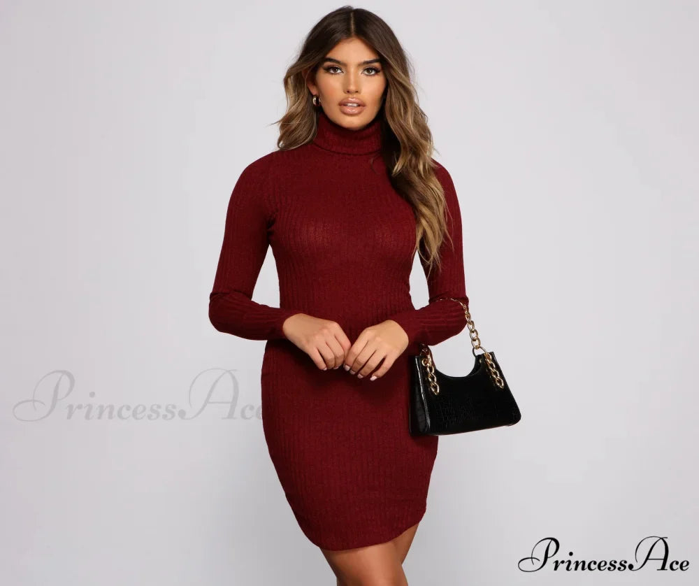 Knit Girl Stylish Turtleneck Mini Dress