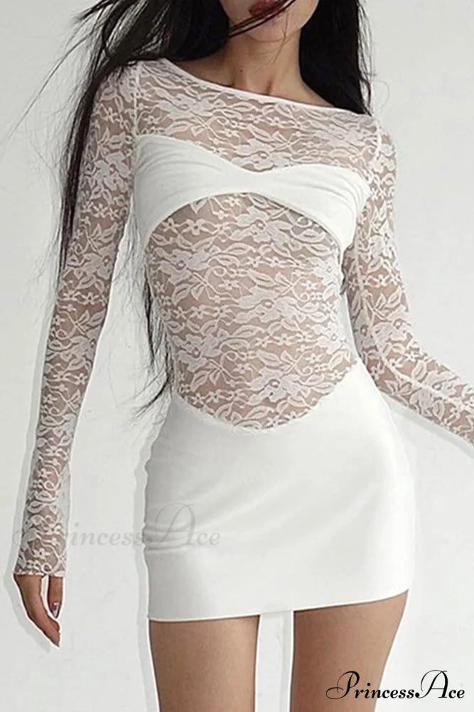 Lace Hollow Out Long Sleeve Pack Hip Dress