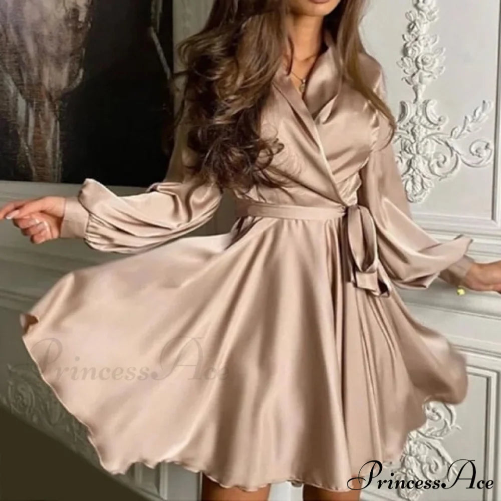 Lantern Sleeve Elegant Fashion Dress