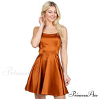 Leandra Satin Stylish Skater Dress