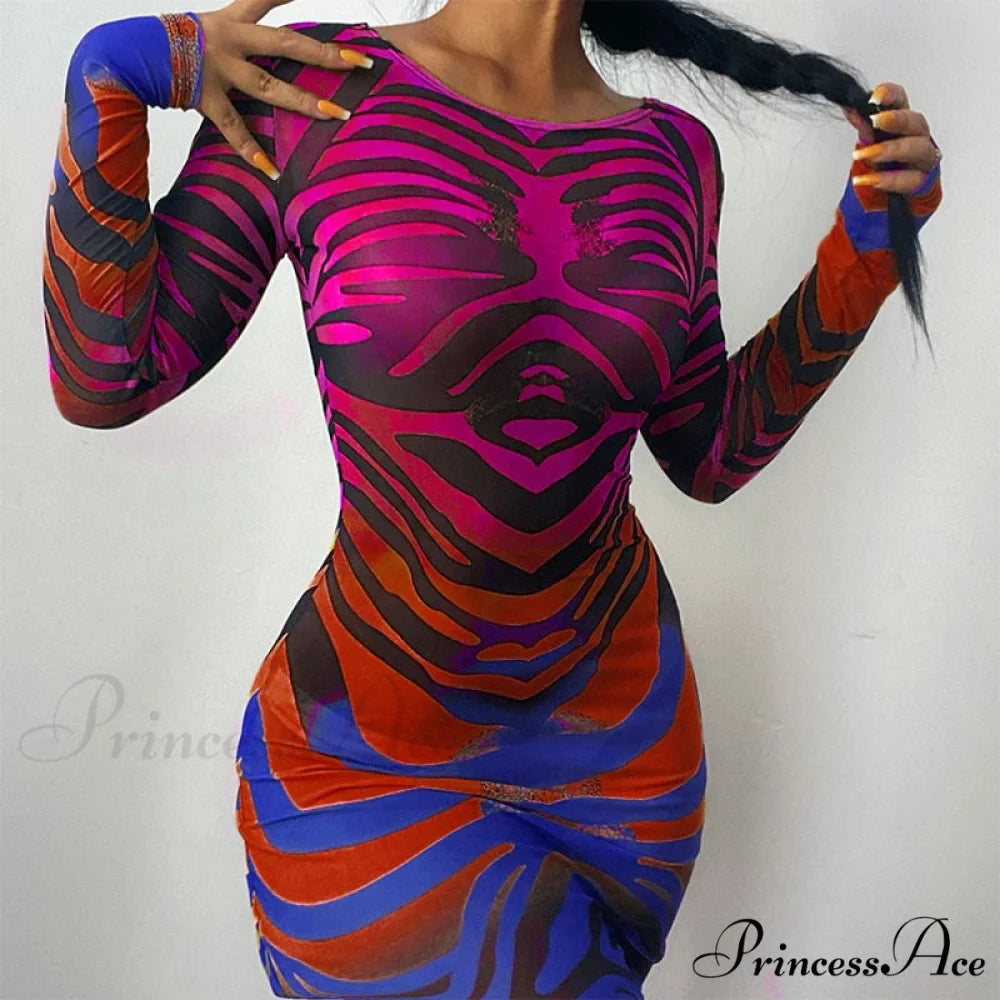 Long Sleeve Printed Mesh See Through Bodycon Dress