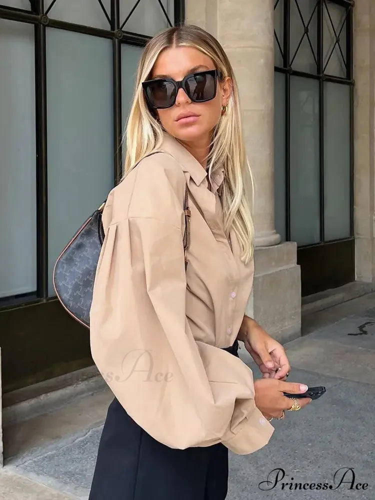 Luminous Sleeve Button Neck Blouse