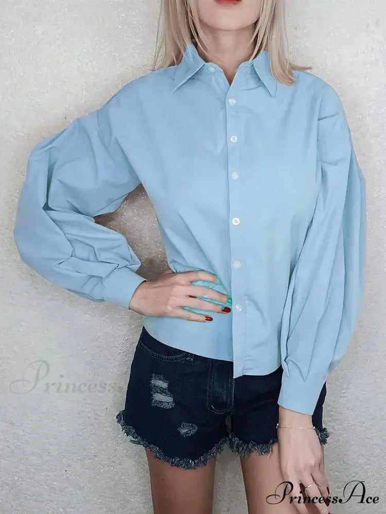 Luminous Sleeve Button Neck Blouse
