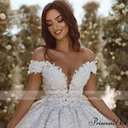 Off-Shoulder Transparent Tulle Bridal Wedding Gown