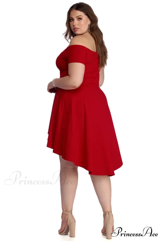 Plus All The Charming Rage Skater Dress