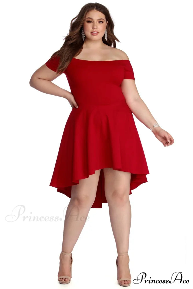 Plus All The Charming Rage Skater Dress