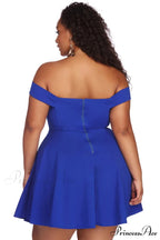 Plus Charming Stylish Sweetheart Skater Dress