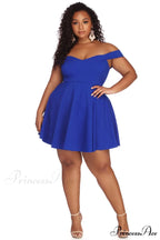 Plus Charming Stylish Sweetheart Skater Dress