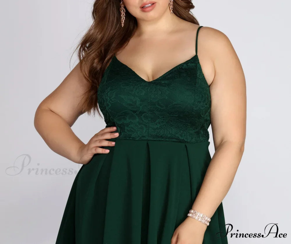 Plus Lace Stylish Appeal Skater Dress