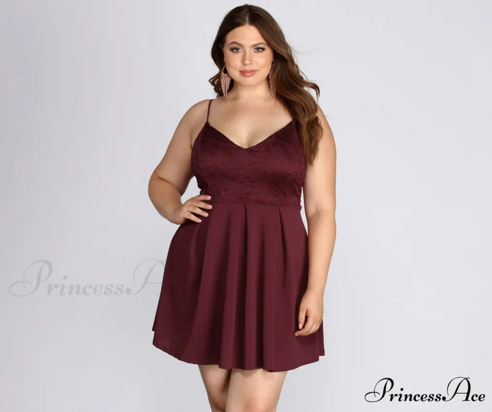 Plus Lace Stylish Appeal Skater Dress