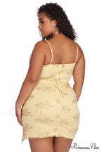 Plus Lace Stylish Darling Mini Dress