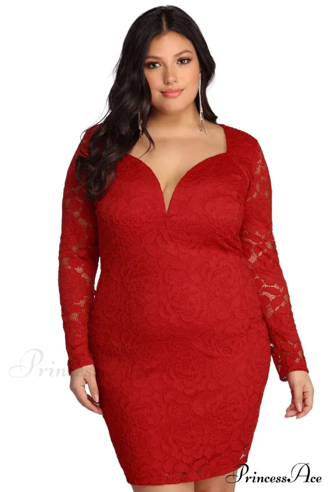 Plus Laced Stylish With Curves Dress
