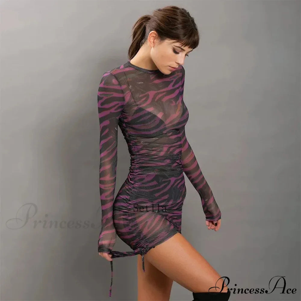 Print Mesh Drawstring Ruched Clubwear Mini Dress