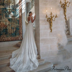 Profound Plunging Neckline Extended Tail Evening Marriage Gown