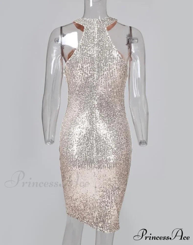 Sequins Sleeveless Halter Tassel Design Bodycon Party Evening Dress