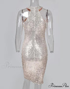 Sequins Sleeveless Halter Tassel Design Bodycon Party Evening Dress