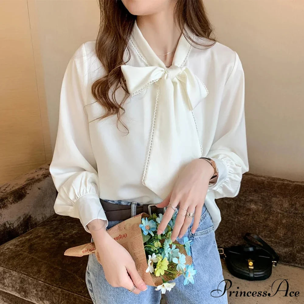 Sheer Ribbon Long Sleeve Workplace Blouse