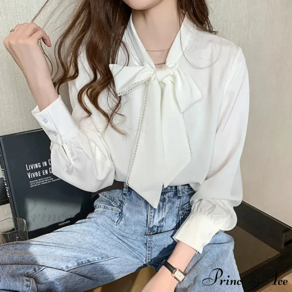 Sheer Ribbon Long Sleeve Workplace Blouse