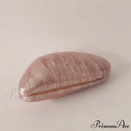 Small Azure Light Rose Acrylic Box Evening Clutch Purse