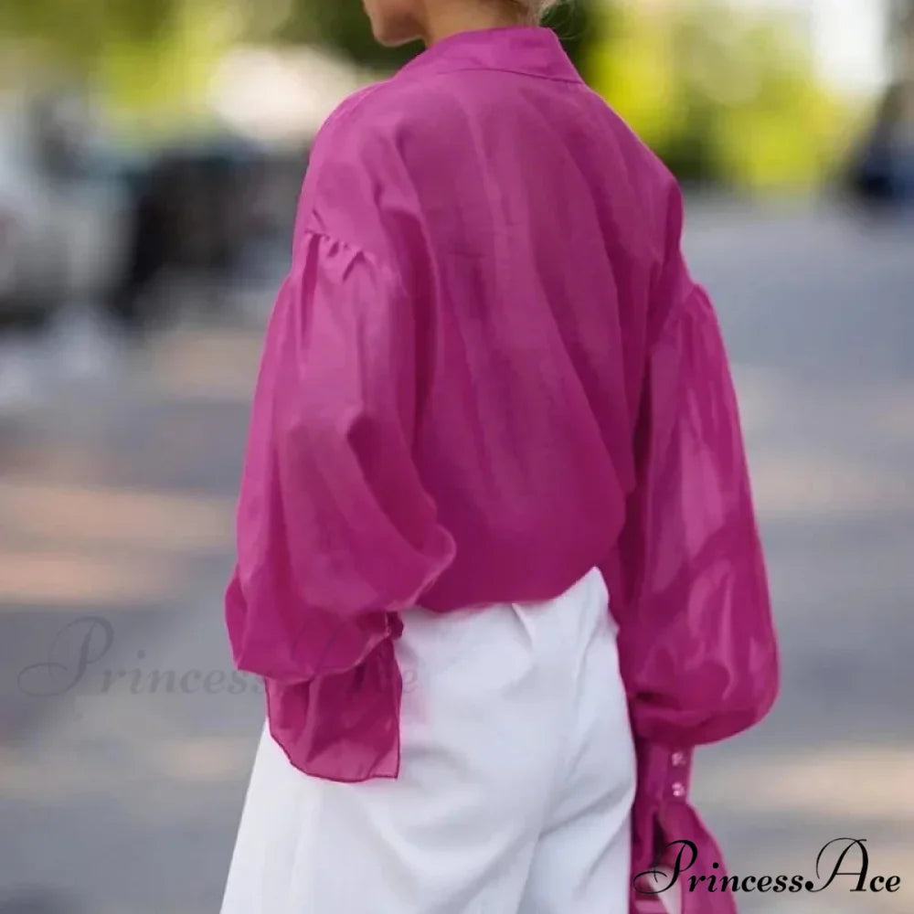 Spring Workplace Informal Blouse