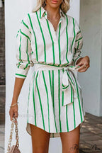 Striped Print Lace-up Shirt Dress - Green
