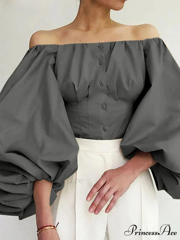 Sturdy Off-The-Shoulder Lantern Sleeve Stylish Blouse
