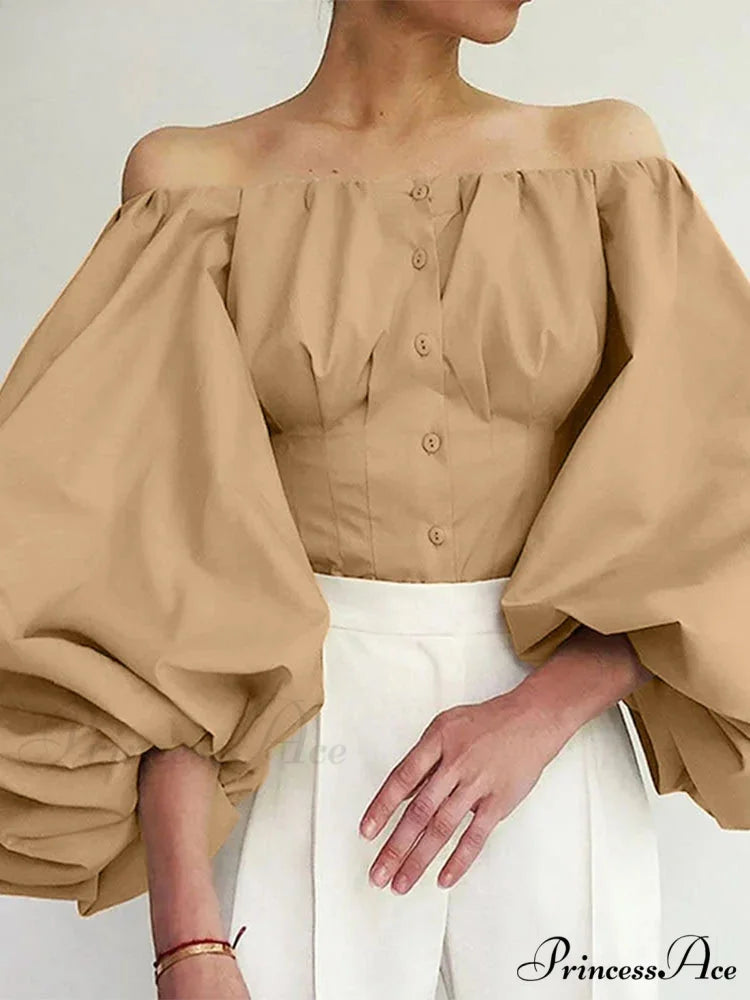 Sturdy Off-The-Shoulder Lantern Sleeve Stylish Blouse