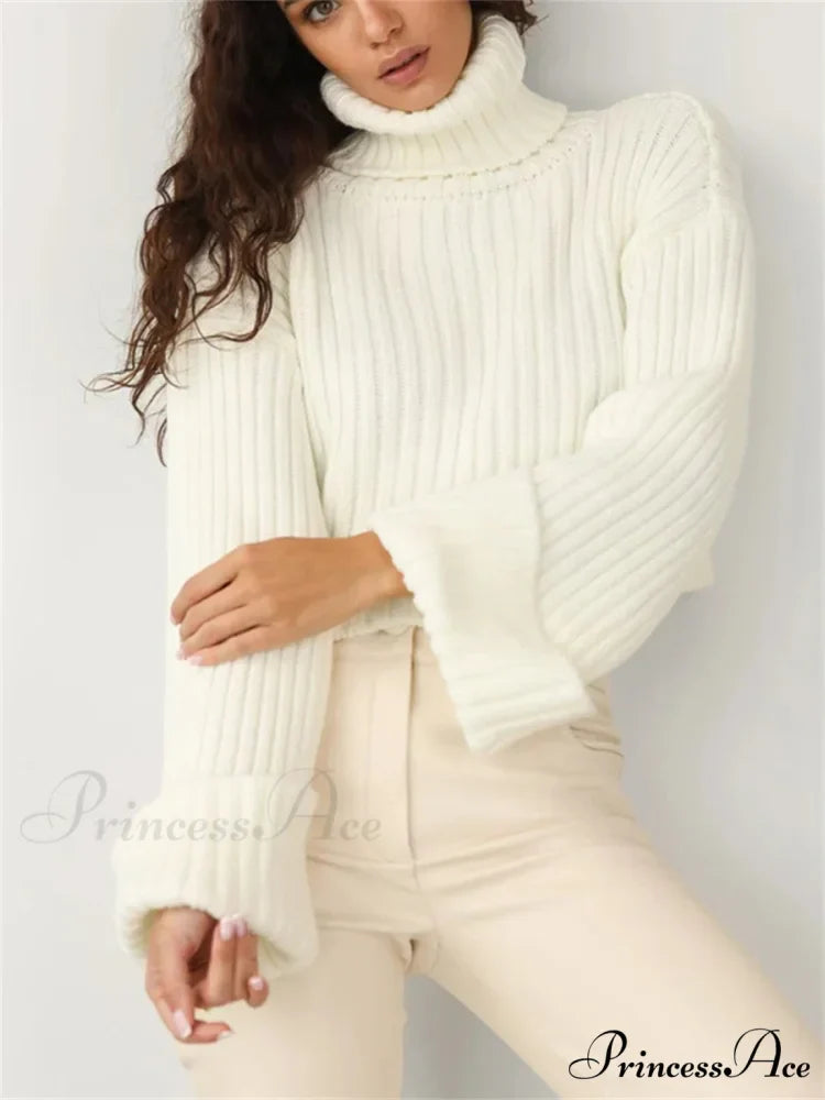 Tall Collar  Ribbed  Shortened Sweater